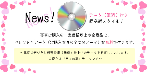 データ（無料）付き商品新スタイル